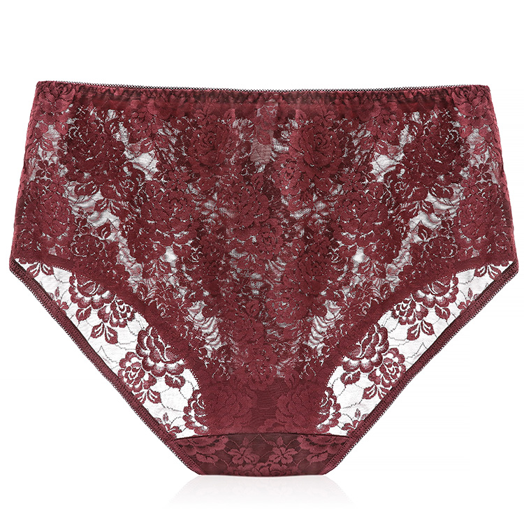 High Waist Transparent Lace Women Underwear