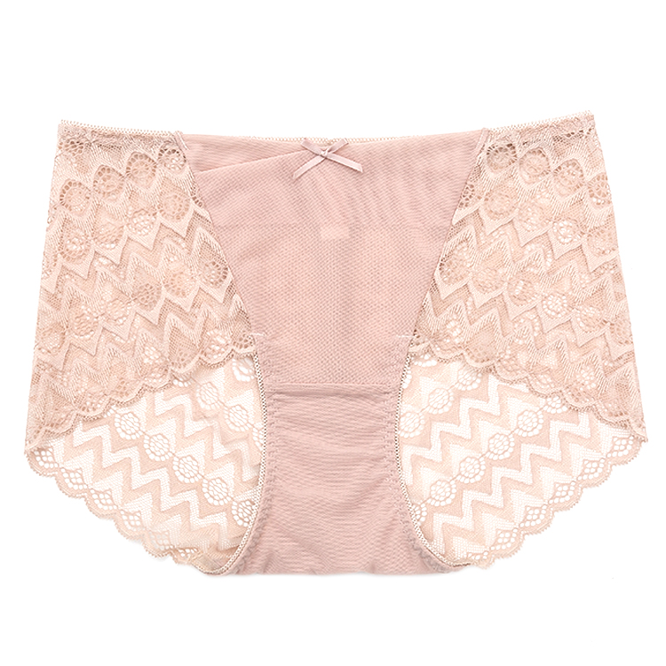 Fashionable Sexy Transparent Nylon Lace Ladies Underwear Panties