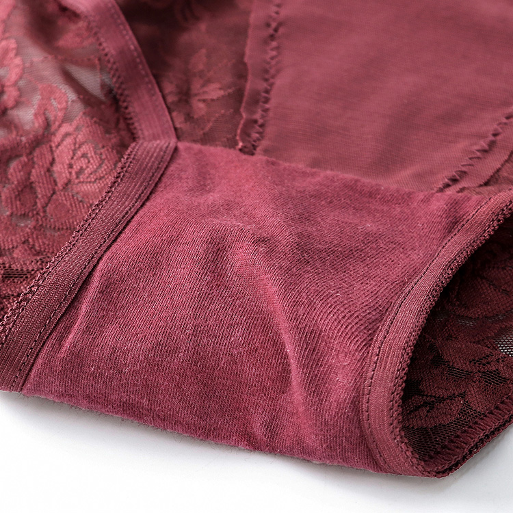 High Waist Transparent Lace Women Underwear details