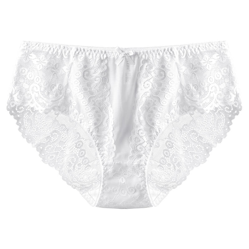 Mid Waist Lace Big Butts Briefs Plus Size Sexy Transparent Panties Underwear for Women