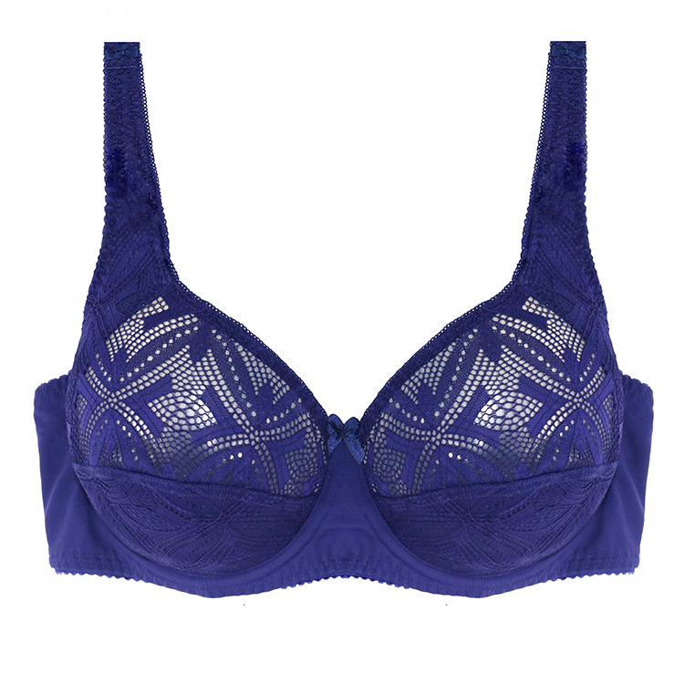 Sexy Women Underwire Push Up Plus Size Bra And Panties Set