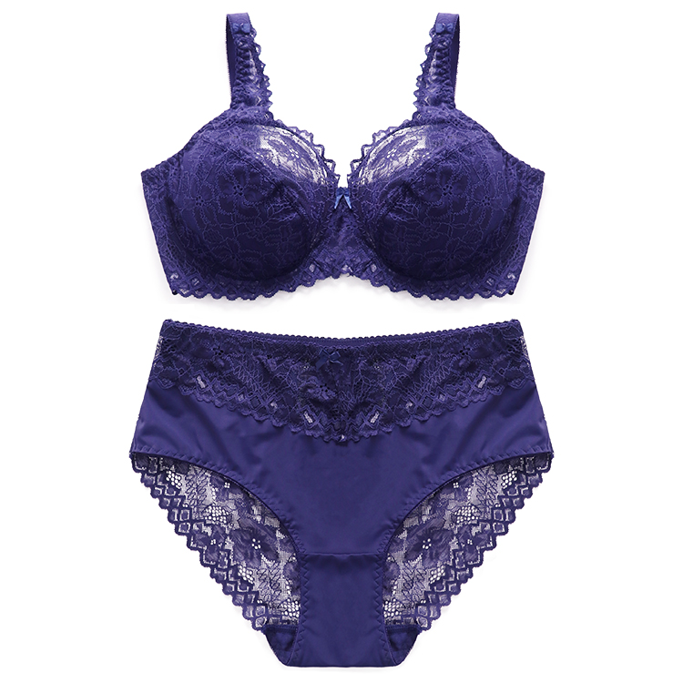 Adjusted-straps Transparent Lace E Cup Fat Women Plus Size Bra Sets Sexy Bra Briefs Sets