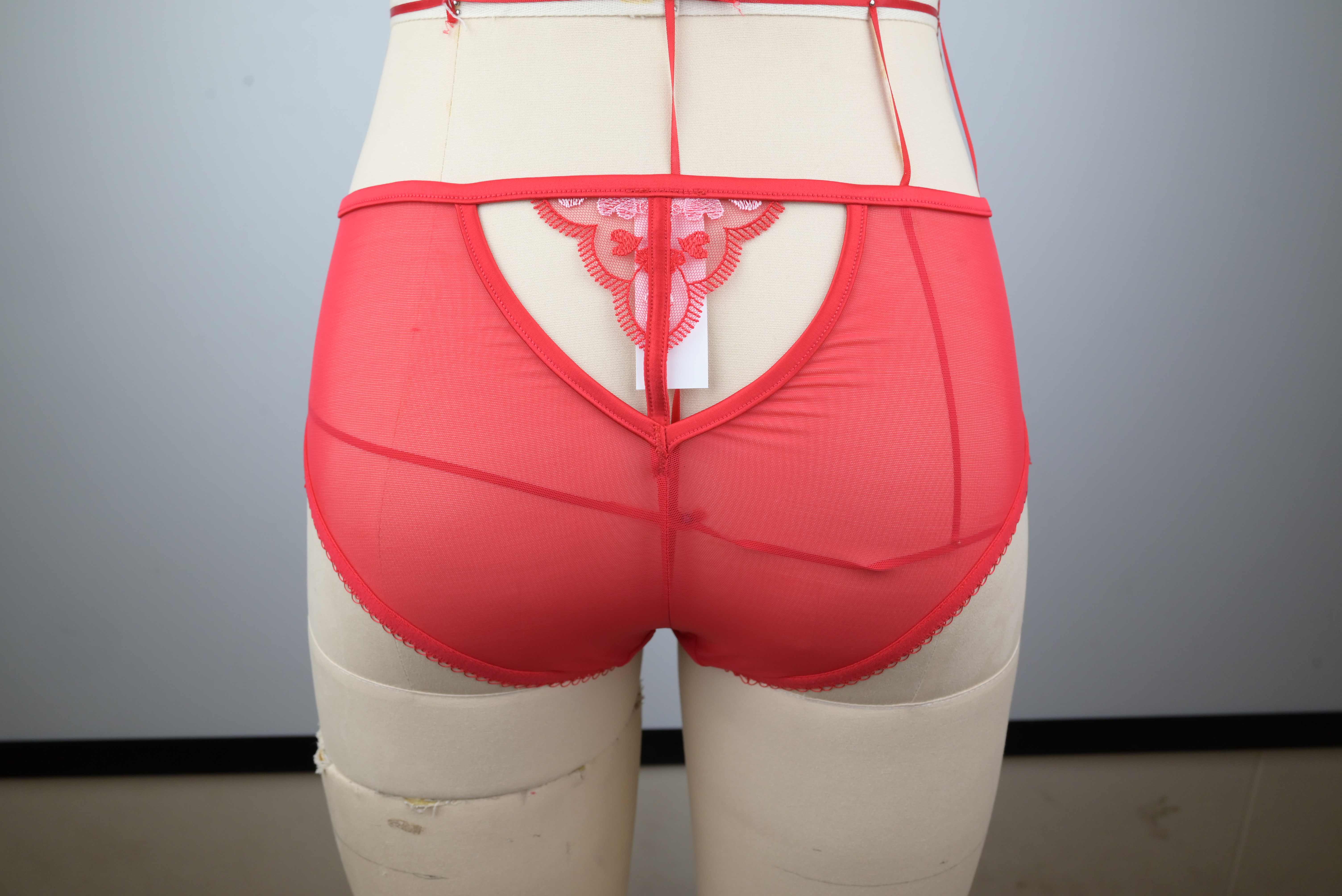 Sexy Lingerie for Women Lace up Front Floral Lace Garter Teddy Briefs