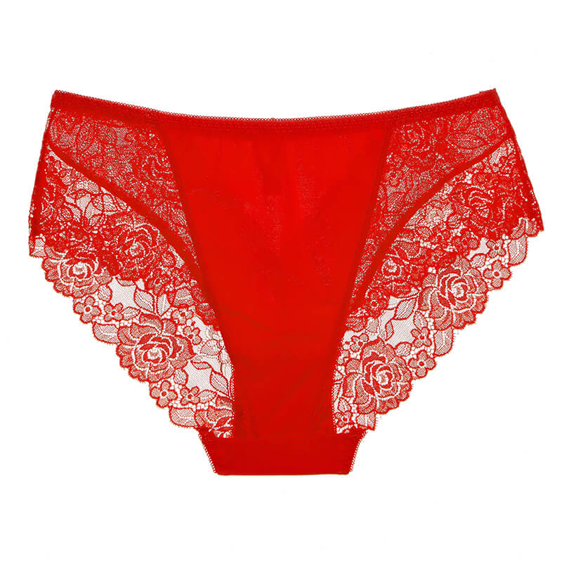  High Waist Sexy Lace See Through Briefs Fat Women Plus Size Panties