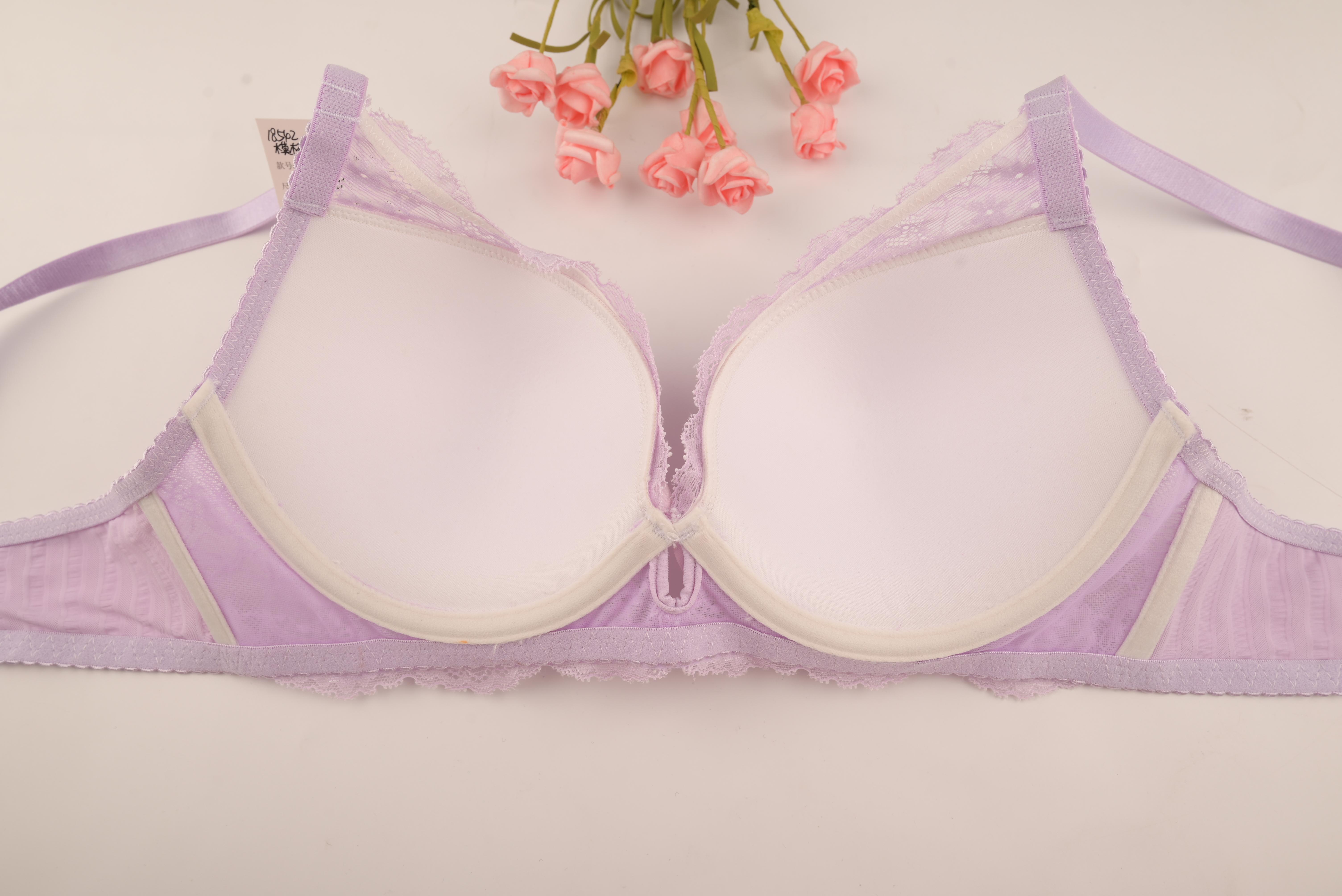 New Purple Cup Bra Sexy Lace Lingerie for OEM and ODM